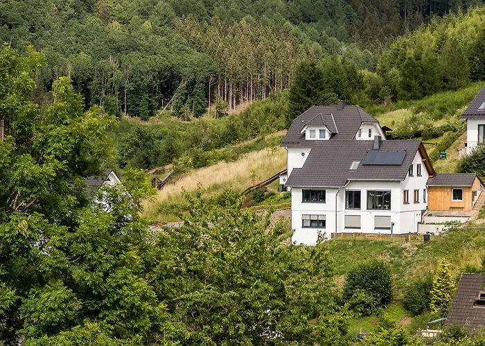 Vergissmeinnicht Sauerland Schmallenberg